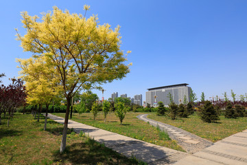 Fototapeta premium Flagstone Roads and Buildings in Cities, China