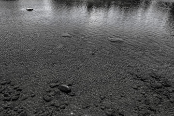 pond of Japanese garden 