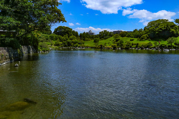 Fototapeta premium pond of Japanese garden 