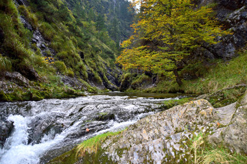 Bach mit kleinem Wasserfall