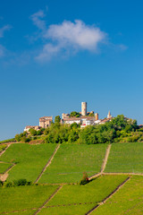 Fototapeta na wymiar Castle and village Castiglione Falletto, Piemonte, Italy