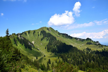 Gipfel des Hochgern