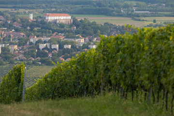 Siklos castle in Villany region with vineyards, Southern Hungary