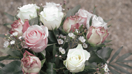 Beautiful vintage bouquet of roses. Pastel floral background