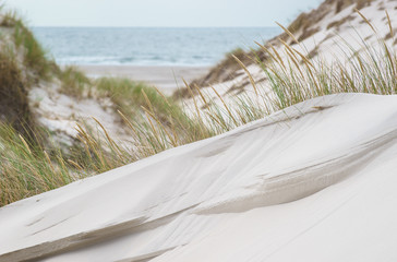 Dünenlandschaft an der Nordsee
