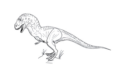 Hand drawn dinosaur Tyrannosaur on white background