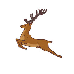 Wild deer male buck with branched horns jumped view profile vector outline sketch illustration isolated on white background.