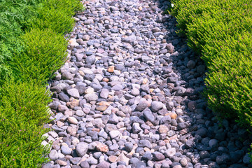 pebbles footpath in the garden and green plant