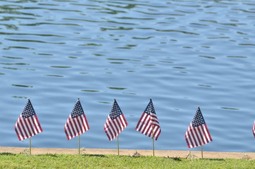american flags in the park