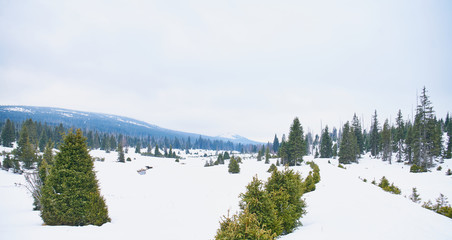 Winter landscape near Modrava in Sumava National Park                              