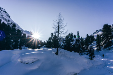Fototapeta premium Snowy mountains and forest during a sunny winter day in the alps, near the village of Sankt Moritz and Silvaplana, Switzerland - January 2020
