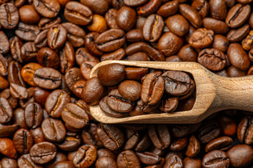 coffee beans in the detail close up