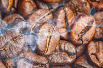 coffee beans in the detail close up