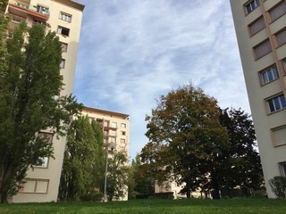 A wonderful day in the neighborhood - Dijon, France