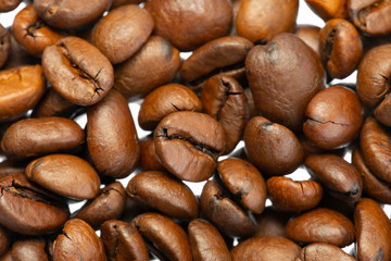 coffee beans in the detail close up