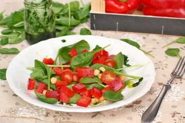 Vegetable salad with spinach,tomato,pepper,chickpea and greeen pesto on white plate