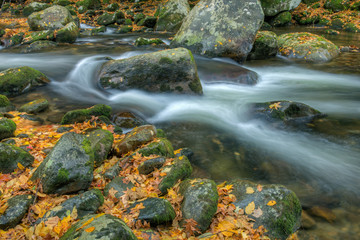 Fototapeta na wymiar Autumn landscape of Big Creek framed by rocks and leaves and captured by motion blur, Great Smoky Mountains National Park, Tennessee, USA