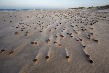 Beautiful patterns created by the wind on the beach in the Slowinski National Park. Czolpino, Leba, Poland.