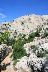 lovely nature near Baska, island Krk, Croatia