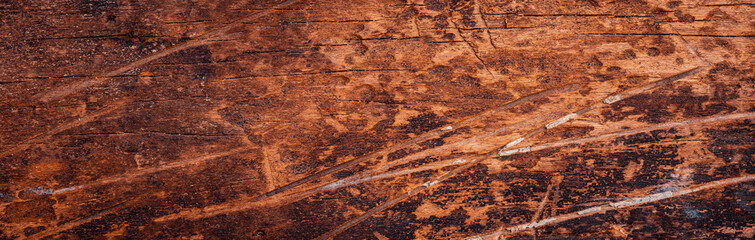 Vintage wood background texture. Natural rustic brown wooden wall or floor. Old wood plank pattern with artistic style and colors.