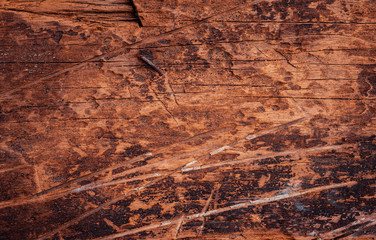 Vintage wood background texture. Natural rustic brown wooden wall or floor. Old wood plank pattern with artistic style and colors.