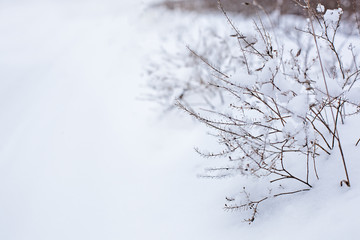 white fluffy snow covered road and bush, snowy rural landscape, seasons