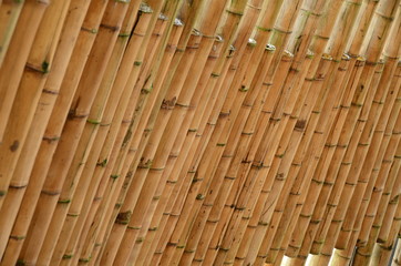 Guadua wall in the Ukumari Zoo
