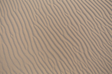 Sand waves on sand dunes in the Slowinski National Park. Czolpino, Leba, Poland