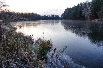 Winter landscape. The frozen lake is covered with new clean ice.