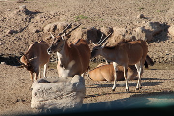 San Diego USA California