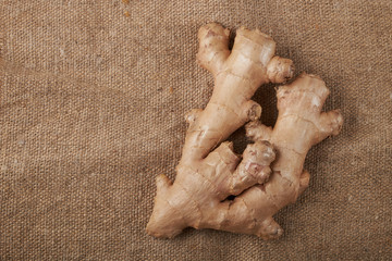 Ginger root isolated on light background