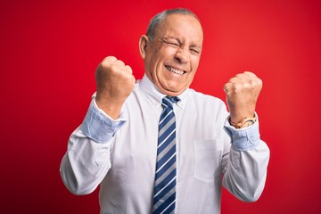 Senior handsome businessman wearing elegant tie standing over isolated red background very happy and excited doing winner gesture with arms raised, smiling and screaming for success. Celebration