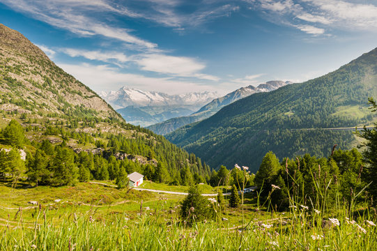 Swiss Alps viewed from the Simplon Pass on the Swiss Italian Border