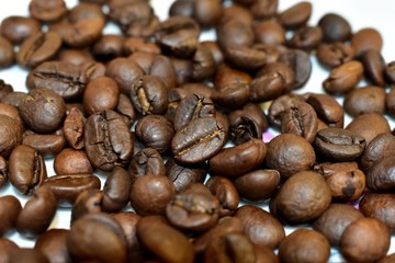 Roasted coffee beans on a substrate.