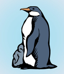 Penguin on the ice. Vector drawing
