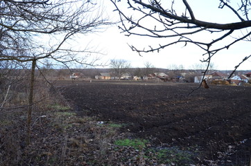 photo of a harvested garden in the village