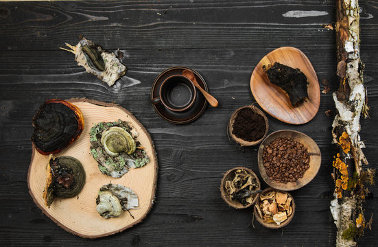 Coffee Superfood Trend, Birch Mushroom Chaga, Lion's Mane Mushroom, Monkey Head Mushroom, Cordyceps, Dry And Fresh Mushrooms And Coffee Beans On Dark Background