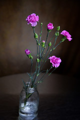 Naklejka na ściany i meble Pretty Pink Carnations in Mason Jar, Colorful 