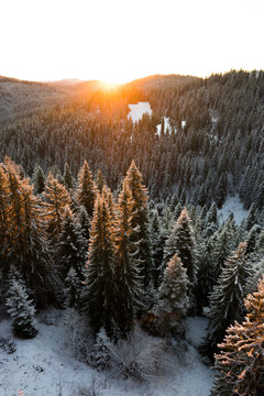 Pamporovo, Bulgaria. Winter In The Mountains.