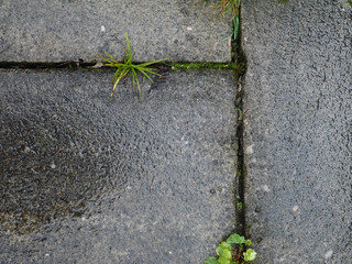Paving stones made of granite square stones. Background from tiles.