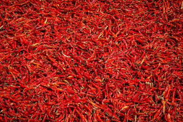 huge amount of chillies in India