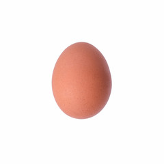Closeup of brown chicken egg
