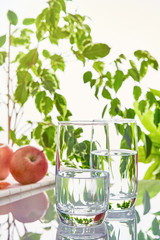 Two glasses and a bottle of water on a background of green leaves in the sunlight.