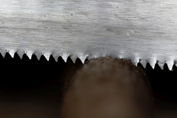 Macro photo of an saw cutting a branch.