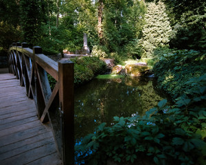 Bridge, Trees & Pond in Park