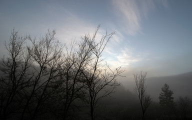 A series of misty landscapes in winter. Trees against the background of the mountain at sunrise. The village of Smolichano in the Osogovo Balkan. Bulgaria.