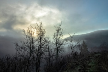 A series of misty landscapes in winter. Shortly before sunrise. Trees near the frozen path against the backdrop of the mountain. The village of Smolichano in the Osogovo Balkan. Bulgaria.