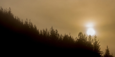 A series of misty landscapes in winter. The solar disk colors the misty sky above the pine forests.	The village of Smolichano in the Osogovo Balkan. Bulgaria.