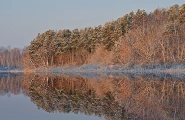 Winter landscape of the frosted shoreline of Crooked Lake at sunrise with mirrored reflections in calm water, Barry County, Michigan