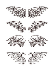 Set of wing illustration